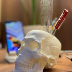 3D Printed Skull Pen Stand – Artistic Desk Organizer